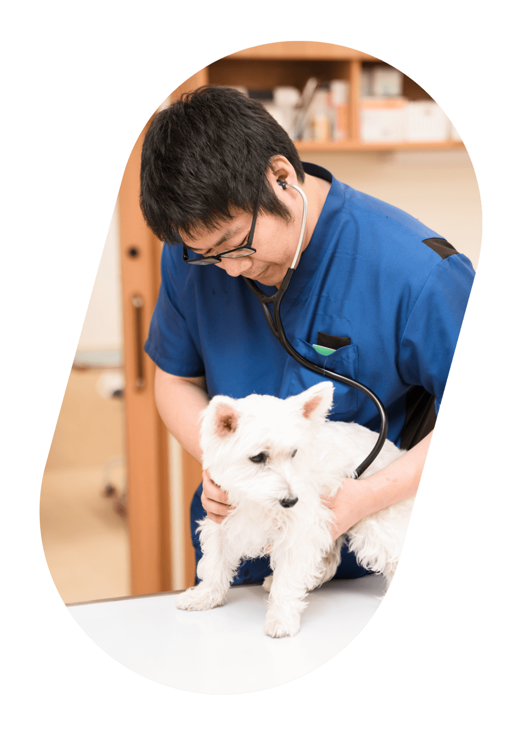 Quality Care, Built onInnovation and Compassion.