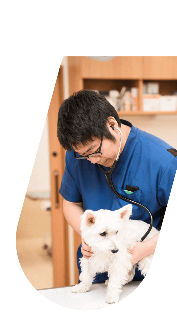 Quality Care, Built onInnovation and Compassion.