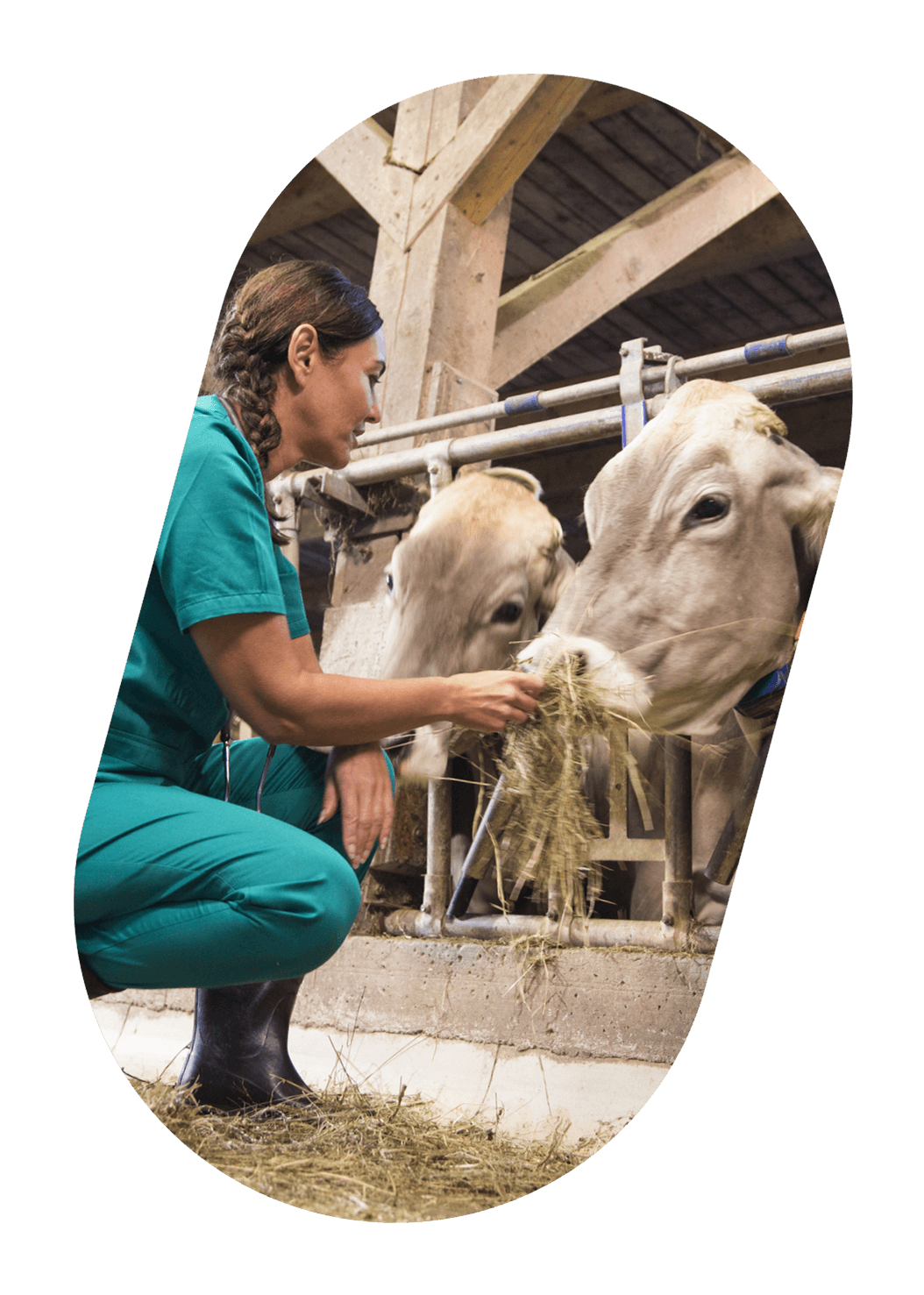 Quality Care, Built onInnovation and Compassion.