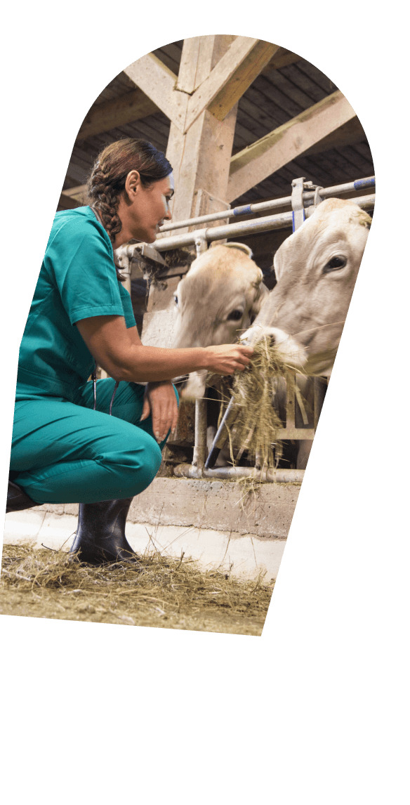 Quality Care, Built onInnovation and Compassion.
