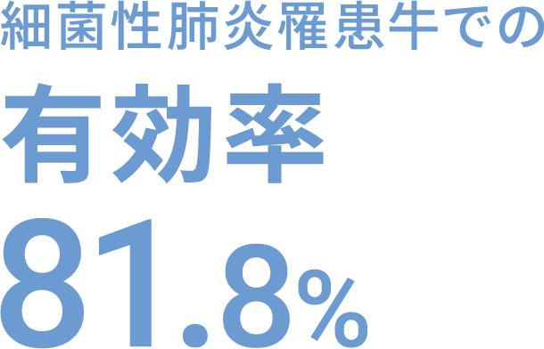 細菌性肺炎罹患牛での有効率 81.8%