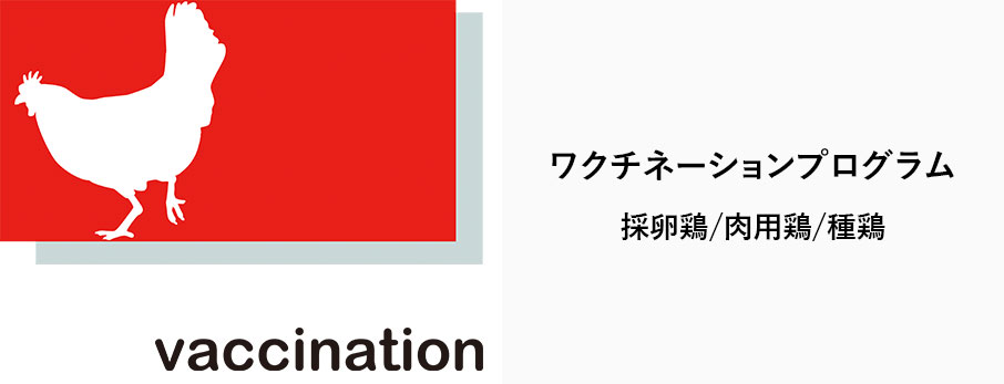 vaccination ワクチネーションプログラム 採卵鶏/肉用鶏/種鶏