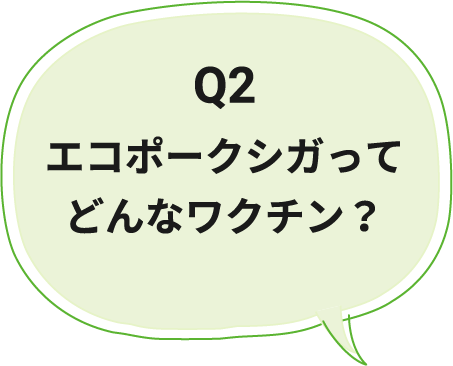 Q2 エコポークシガってどんなワクチン？